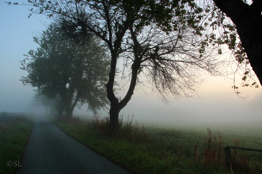 Septembermorgen