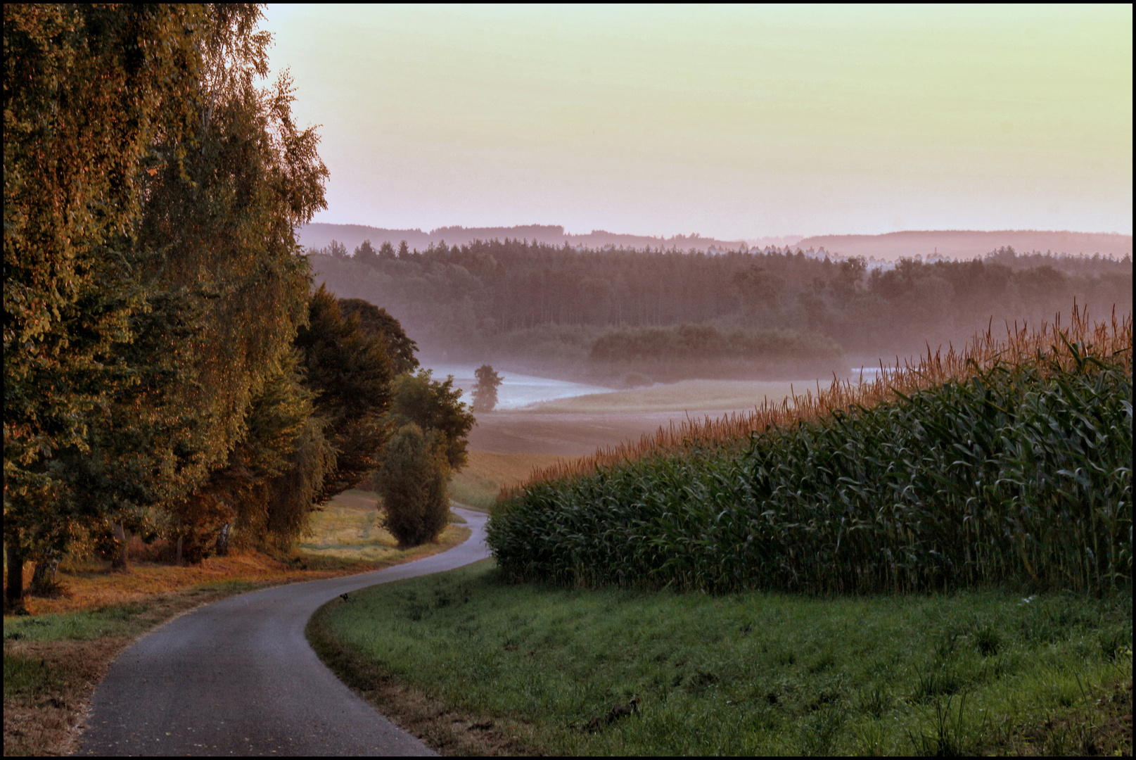 SEPTEMBERMORGEN 