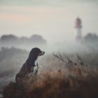 Septembermorgen am Strand 