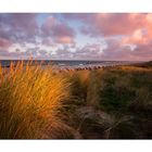 Septembermorgen am Strand von Wustrau