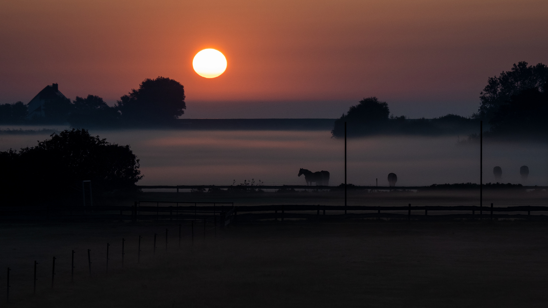 Septembermorgen