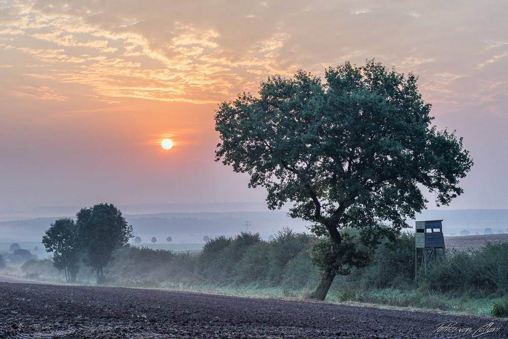 Septembermorgen