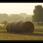 Septembermorgen...