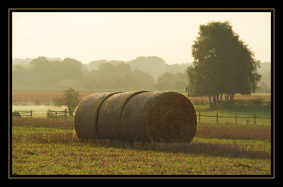 Septembermorgen...