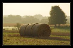 Septembermorgen...