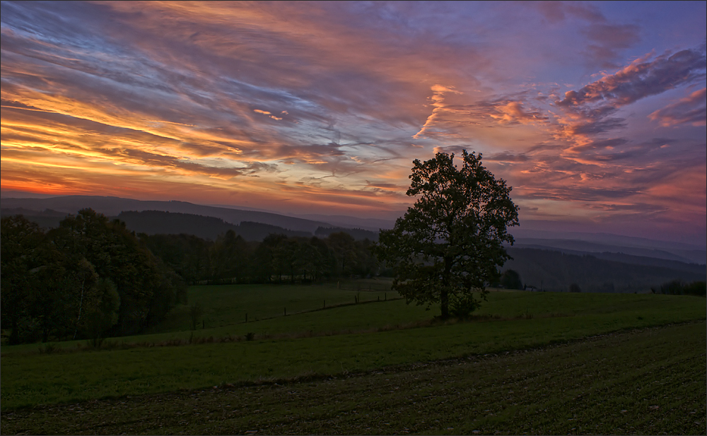 Septembermorgen