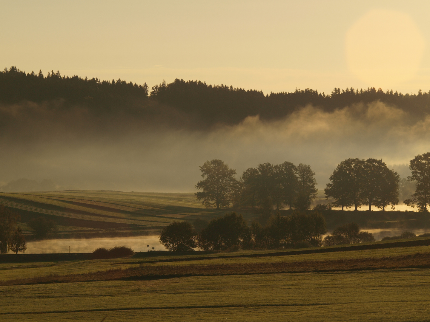 septembermorgen