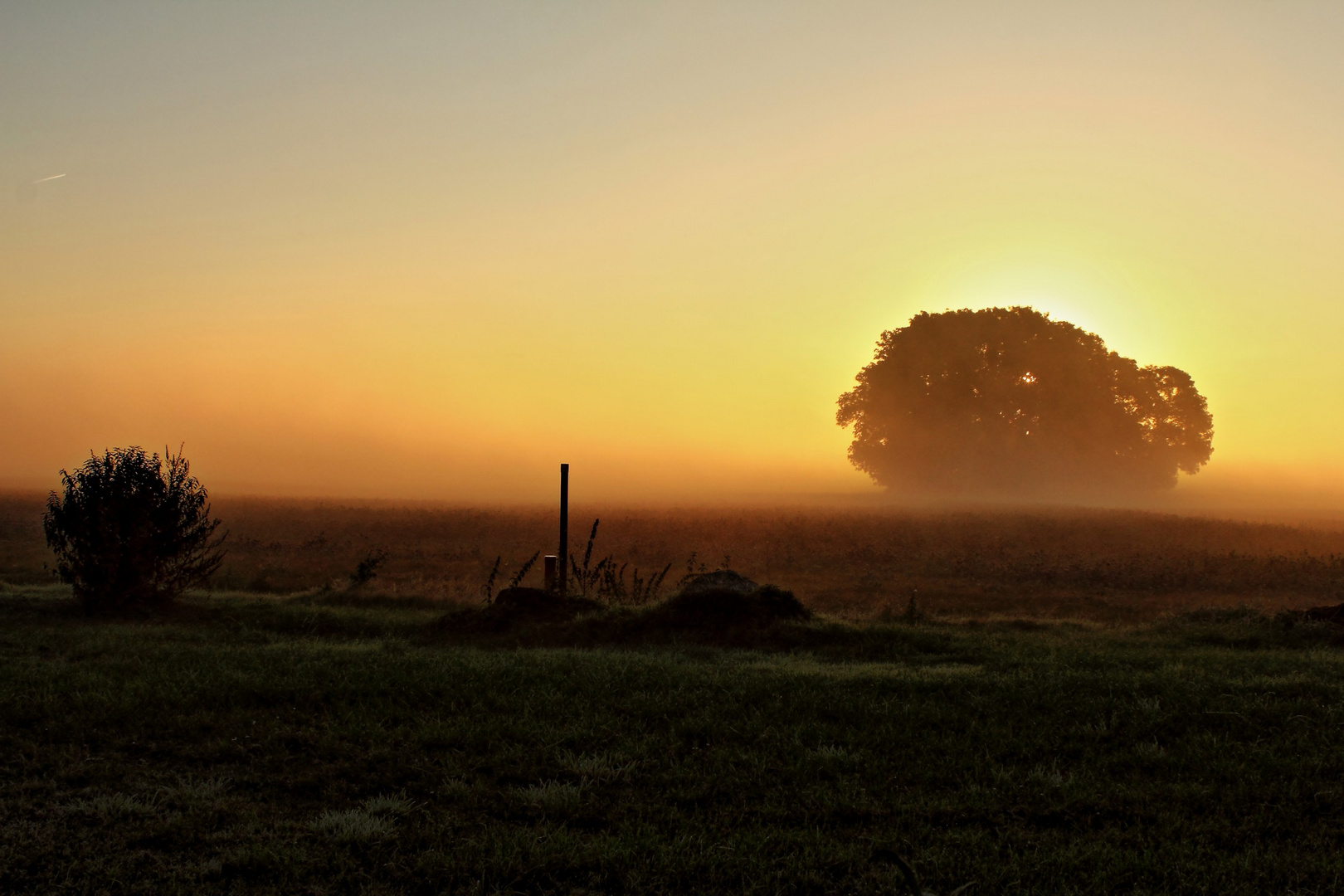 Septembermorgen