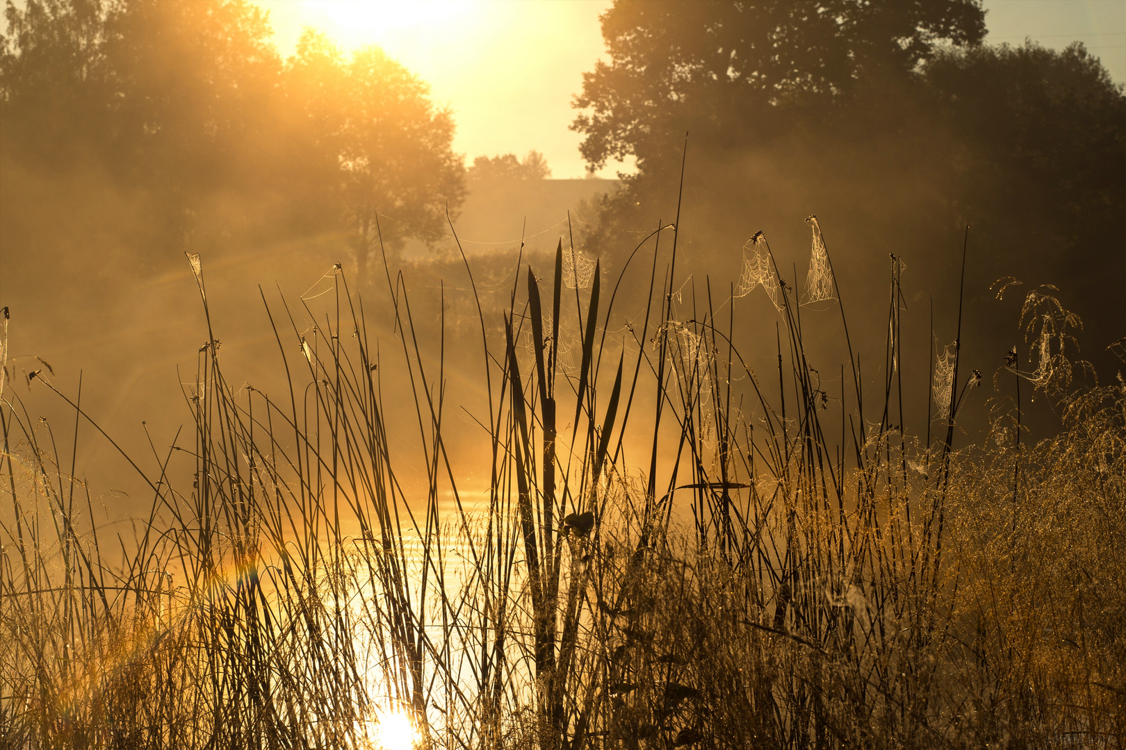 Septembermorgen