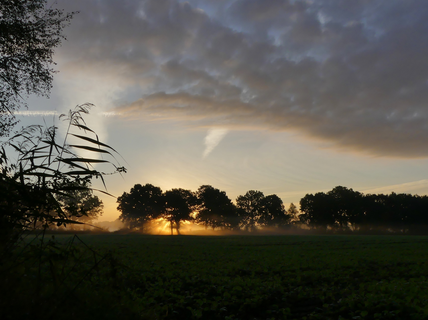 Septembermorgen