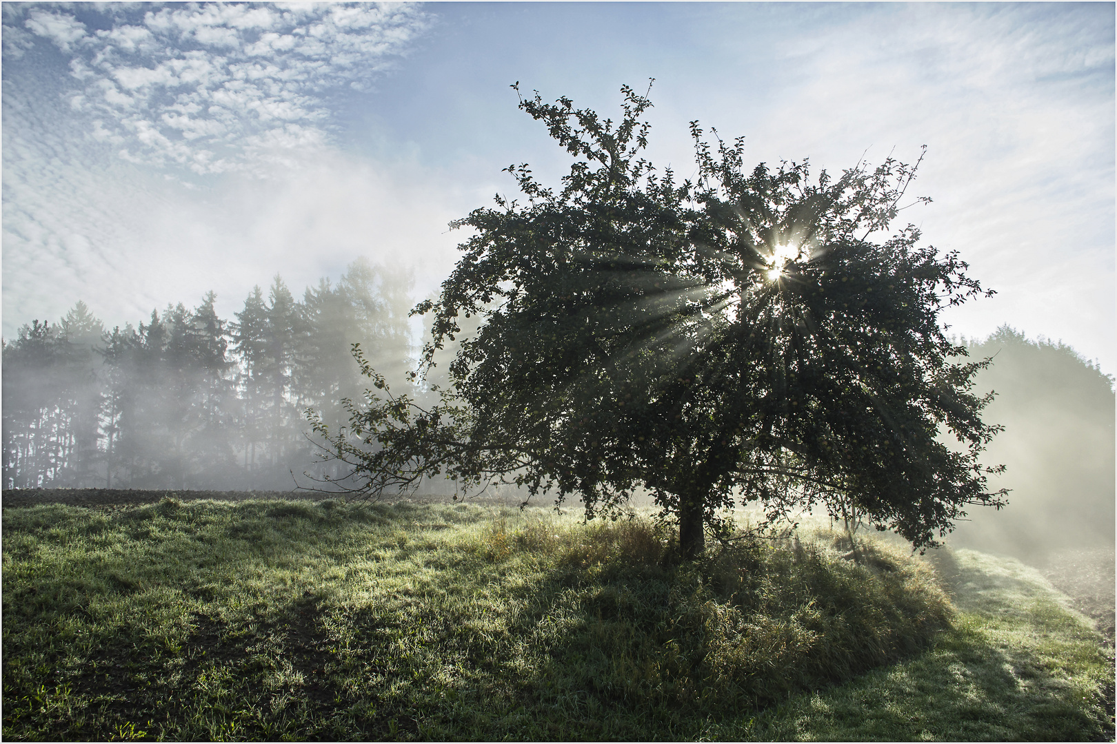 Septembermorgen