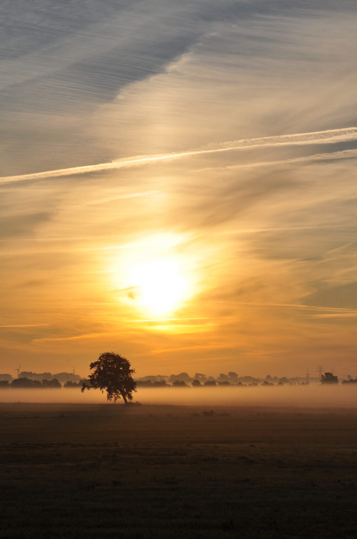 Septembermorgen