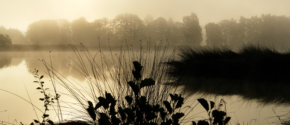 septembermorgen II