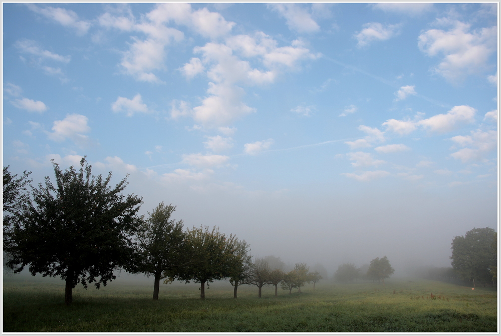 Septembermorgen II