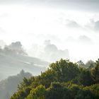 Septembermorgen in den Weinbergen, 3