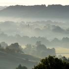 Septembermorgen in den Weinbergen, 4