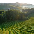 Septembermorgen in den Weinbergen, 5