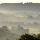 Septembermorgen in den Weinbergen, 7