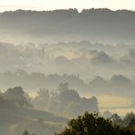 Septembermorgen in den Weinbergen, 7