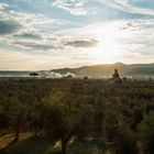 Septembermorgen in der Maremma Livornese