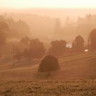 Septembermorgen in rot