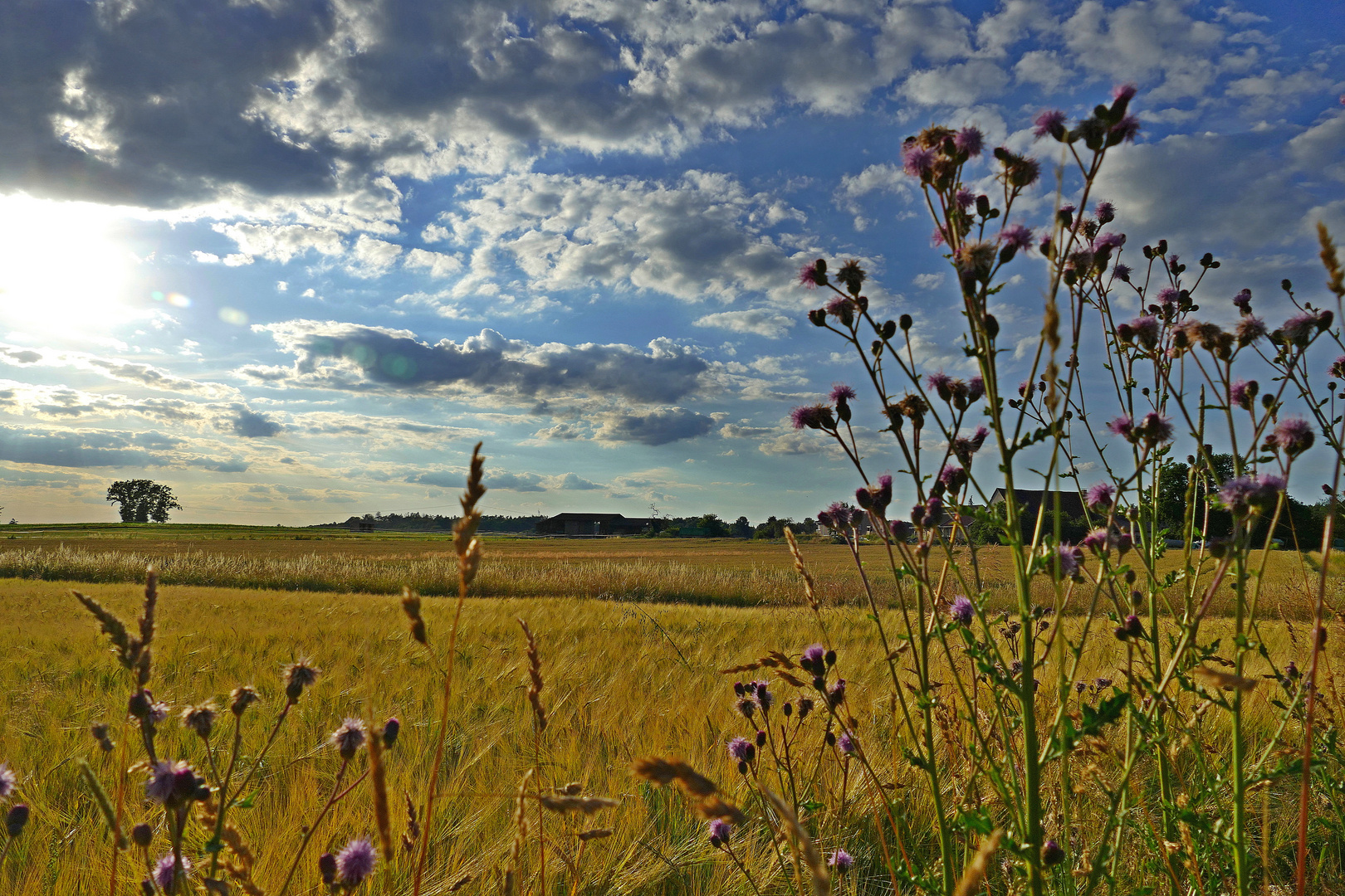 Septembernachmittag auf einem Feld in Mittelfranken