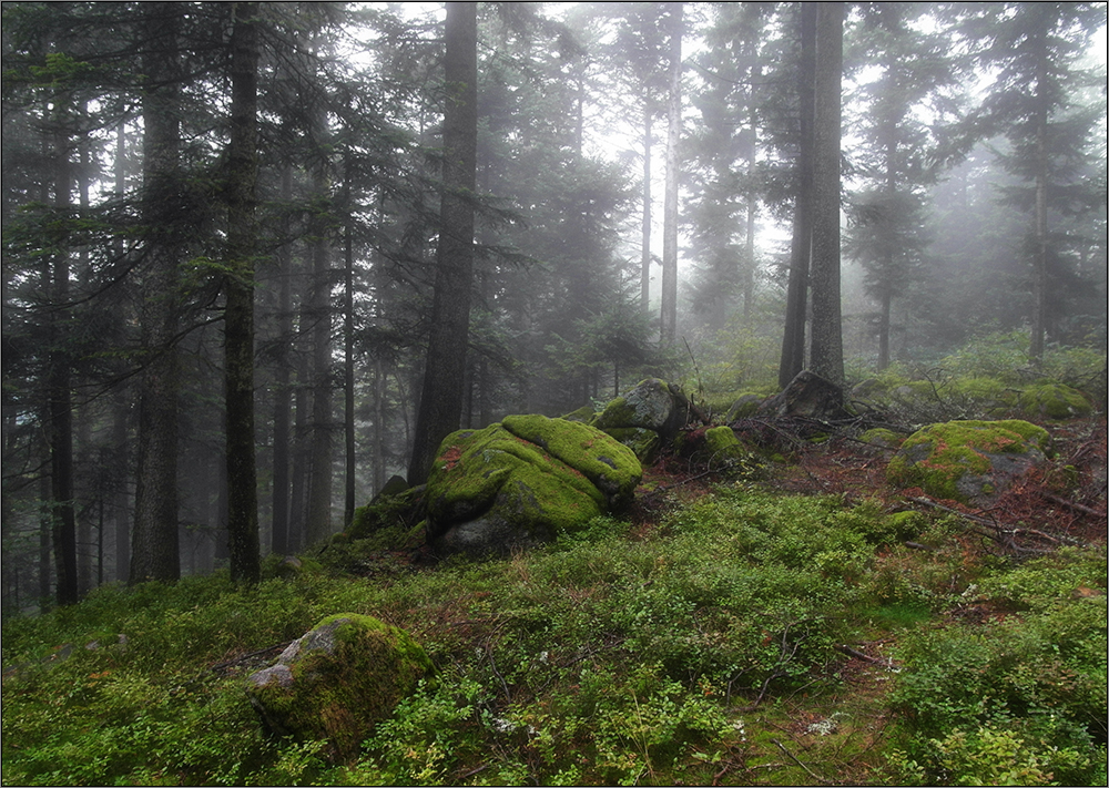 Septembernebel