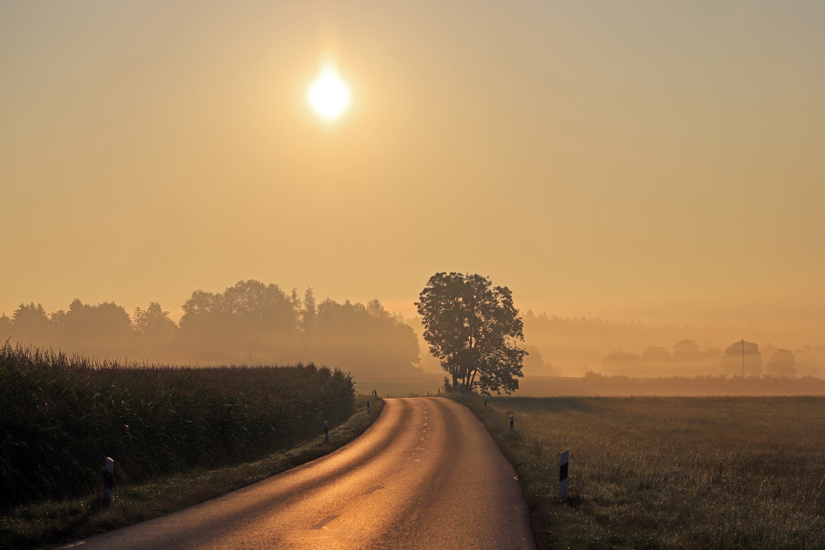 Septembernebel