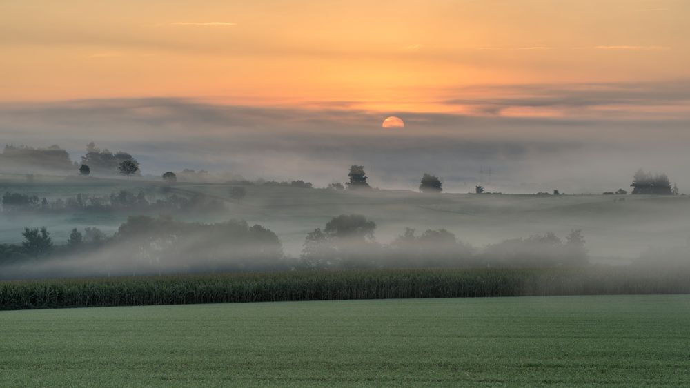 *Septembernebel*