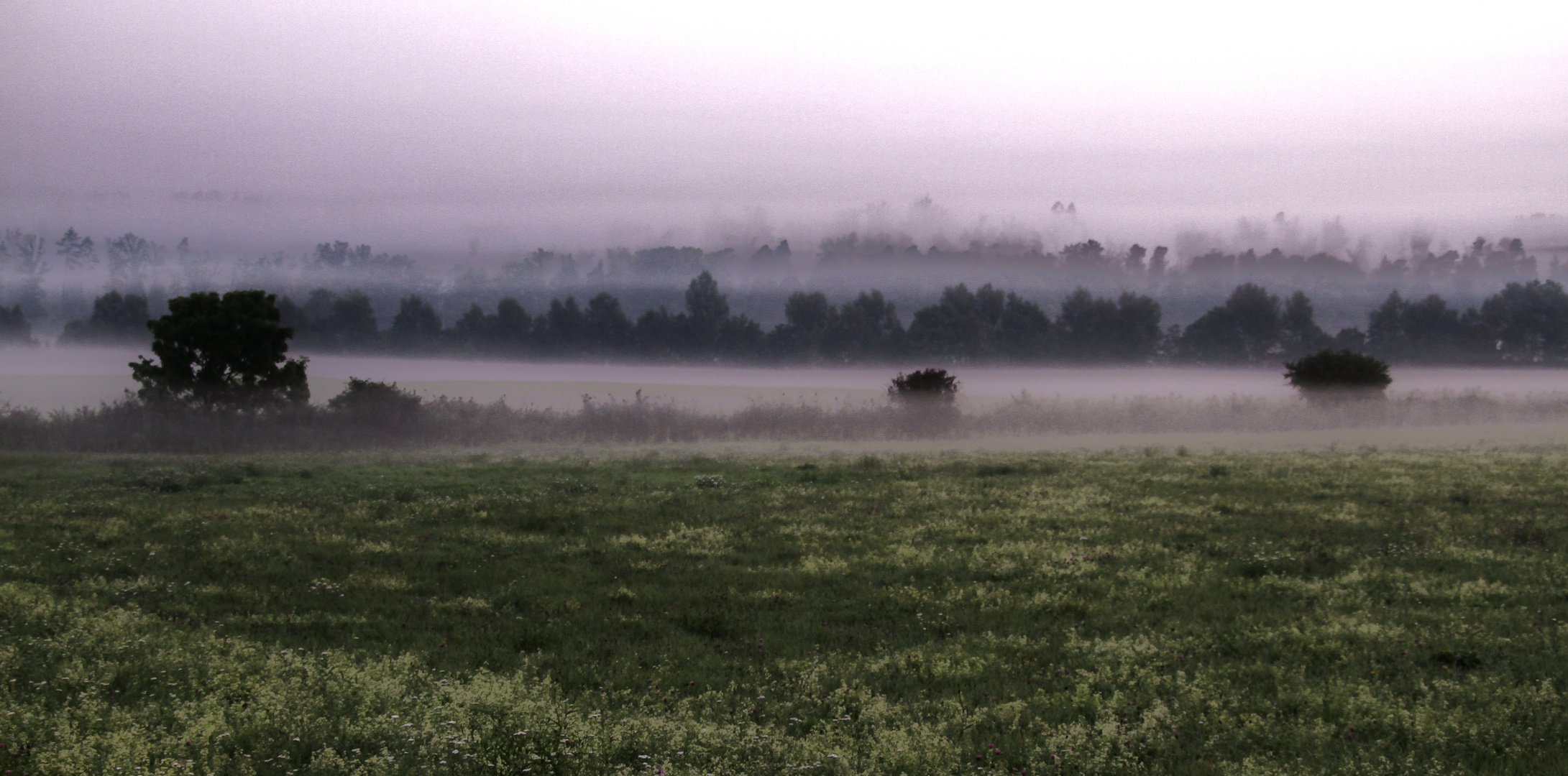 Septembernebel