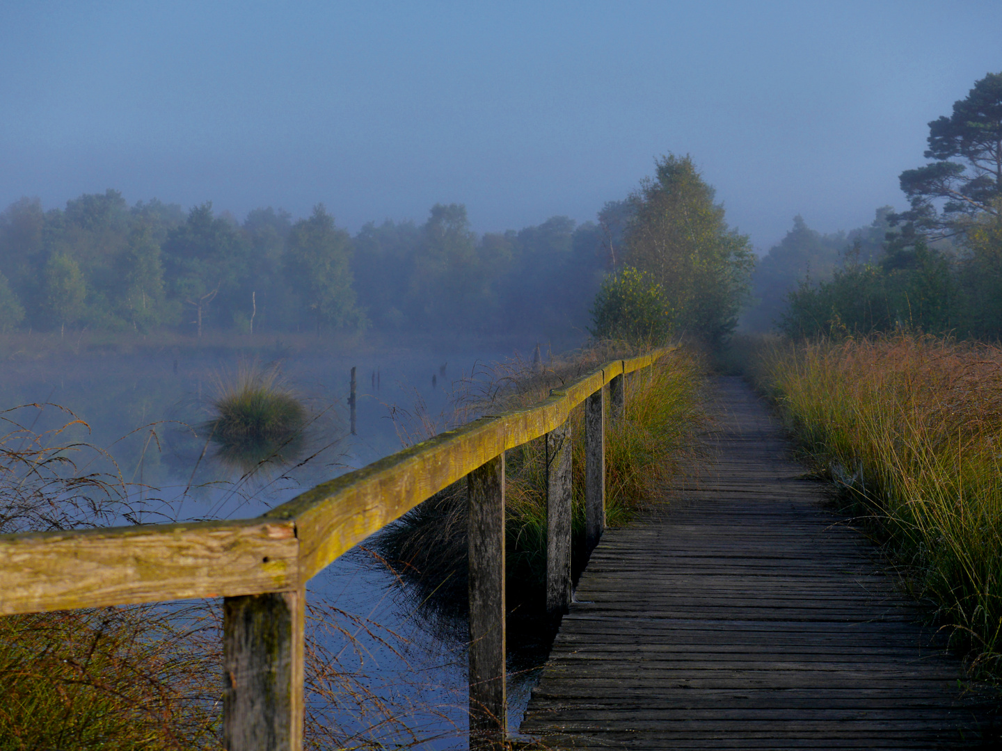 Septembernebel