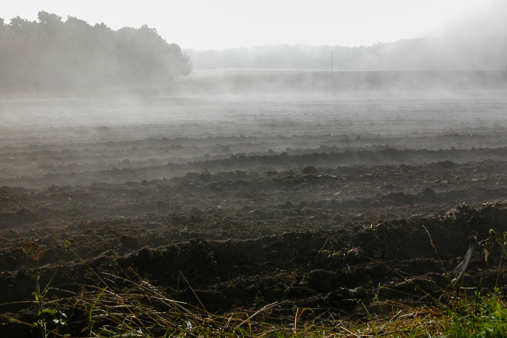 Septembernebel