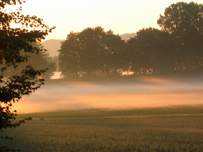 Septembernebel