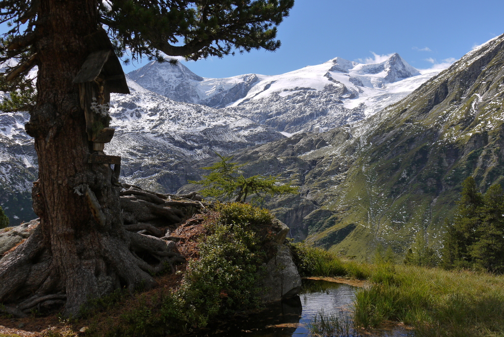 Septemberschnee