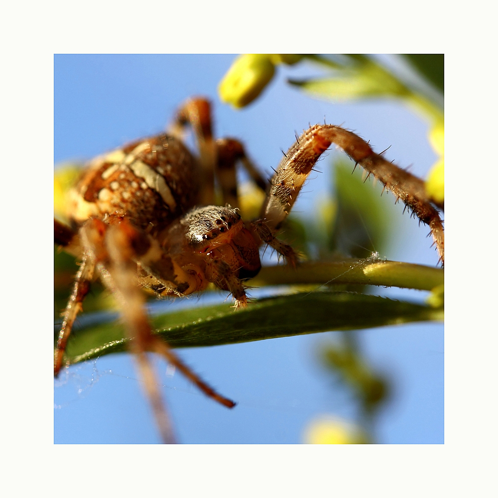 Septembersonne genießen!