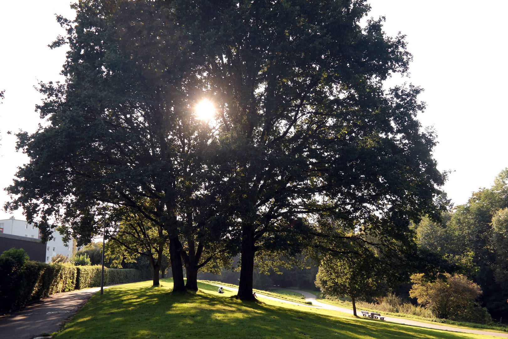 Septembersonnennachmittag