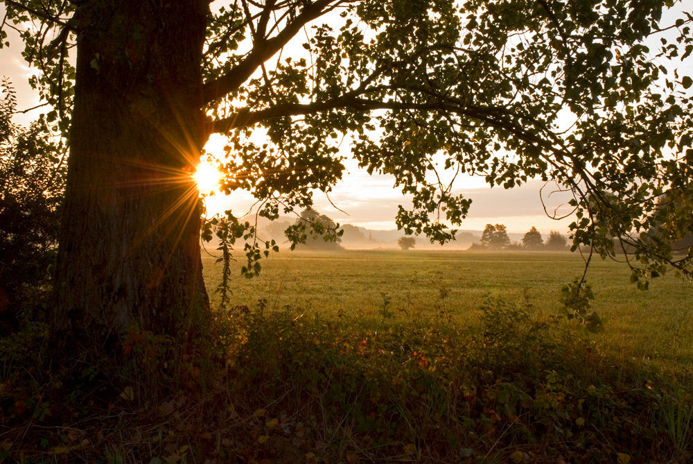 Septembersonntagmorgen