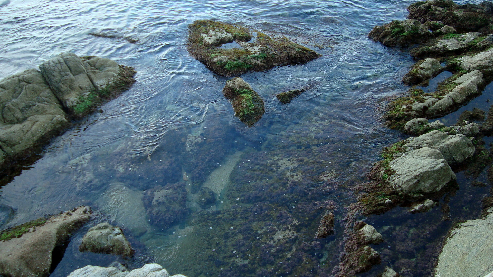  Septiembre mar y playa 