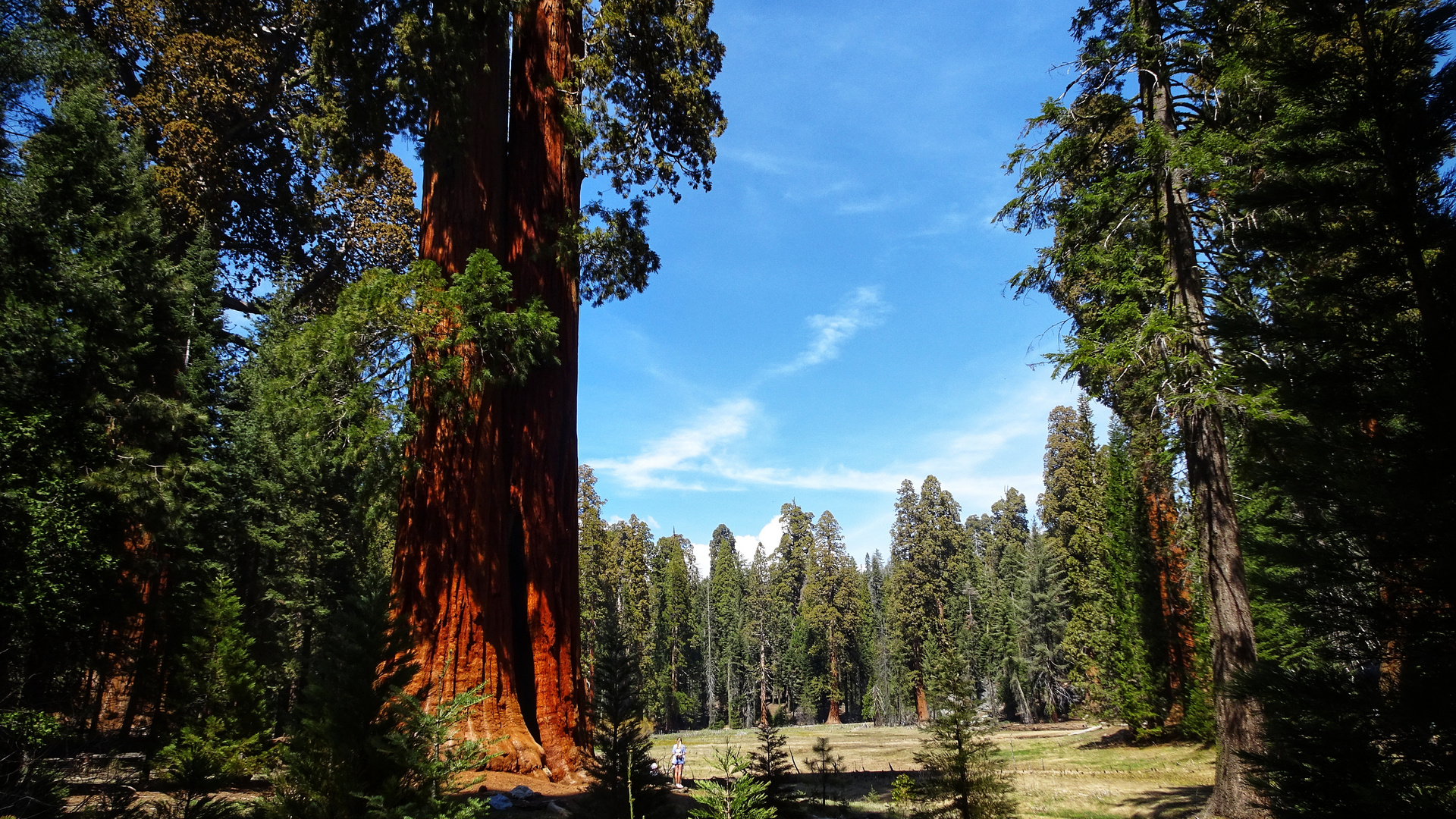 Sequoia and Kings Canyon National Parks