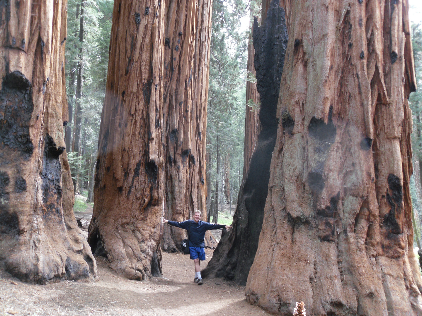 Sequoia National Forest, California