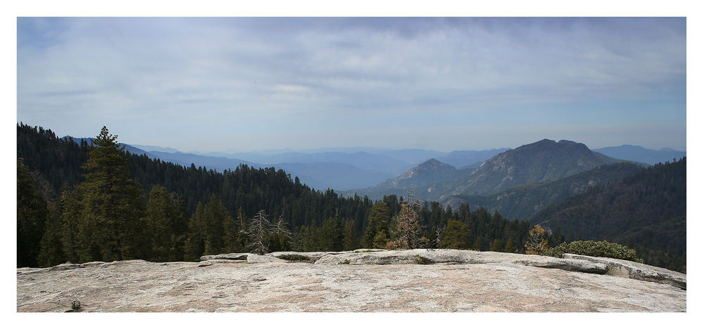 Sequoia National Park 1