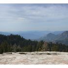 Sequoia National Park 1