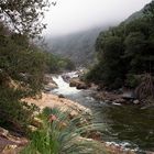 SEQUOIA NATIONAL PARK 2