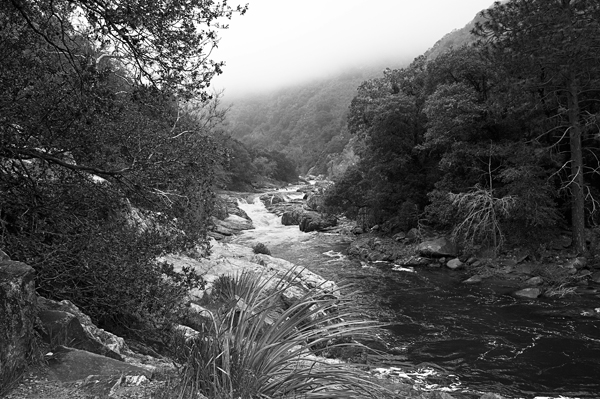 SEQUOIA NATIONAL PARK 2 BIS