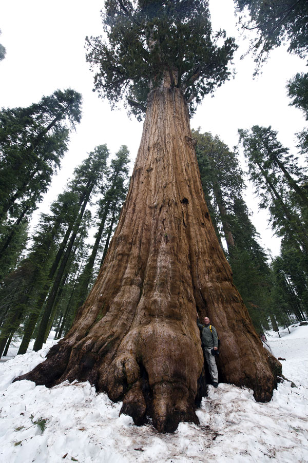 SEQUOIA NATIONAL PARK