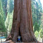 Sequoia National Park (Kalifornien)