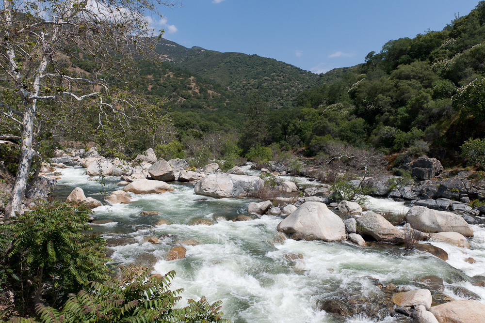 Sequoia National Part - South Entrance