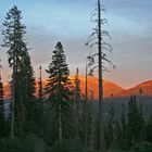 Sequoia Nationalpark