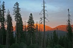 Sequoia Nationalpark