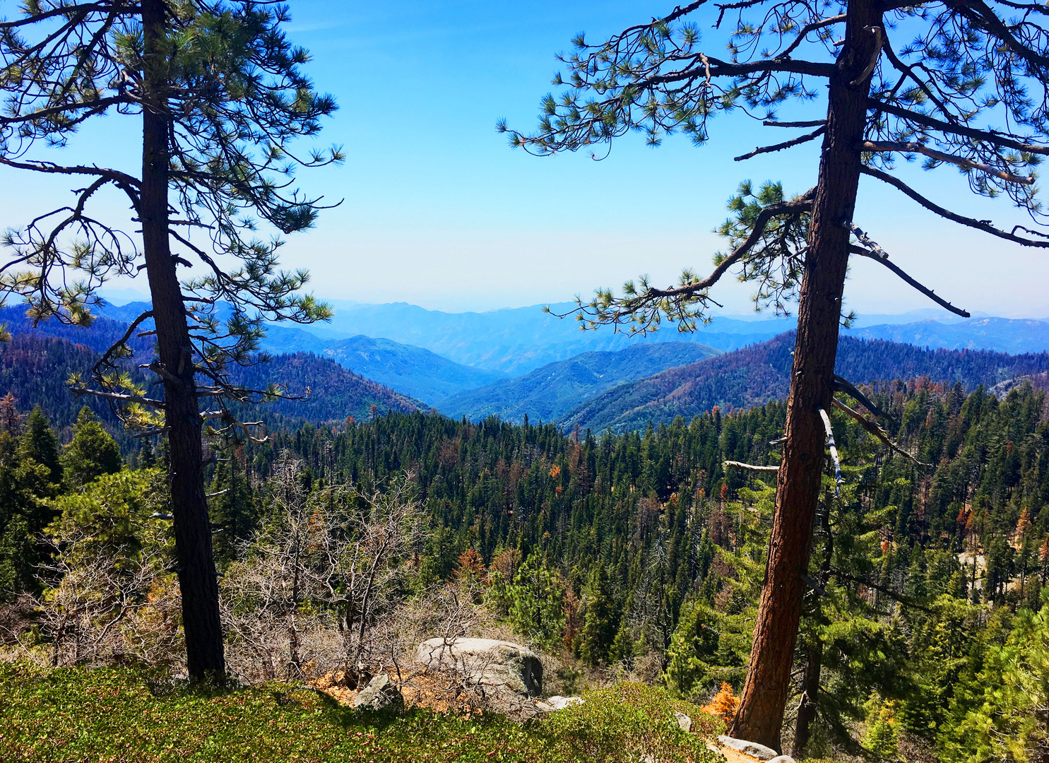 Sequoia Nationalpark